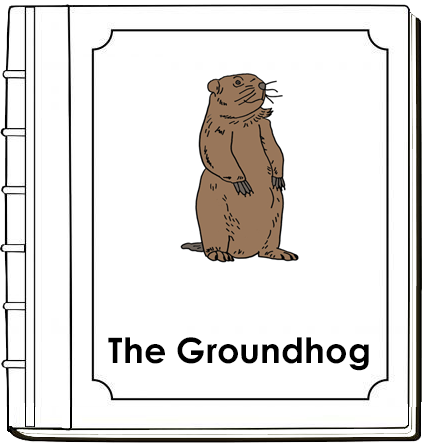 Parts of a Groundhog Nomenclature Book (red) - Montessori Print Shop Digital Download