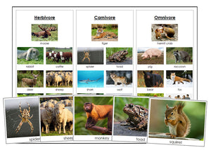 Herbivores, Carnivores, Omnivores - Montessori Print Shop zoology printable