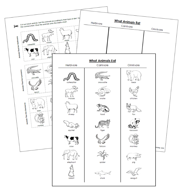 Herbivores, Carnivores & Omnivores (Cut & Paste) - Montessori Print Shop Digital Download