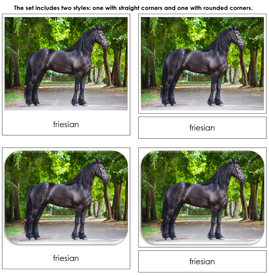 Horses Safari Toob Cards - Montessori Print Shop