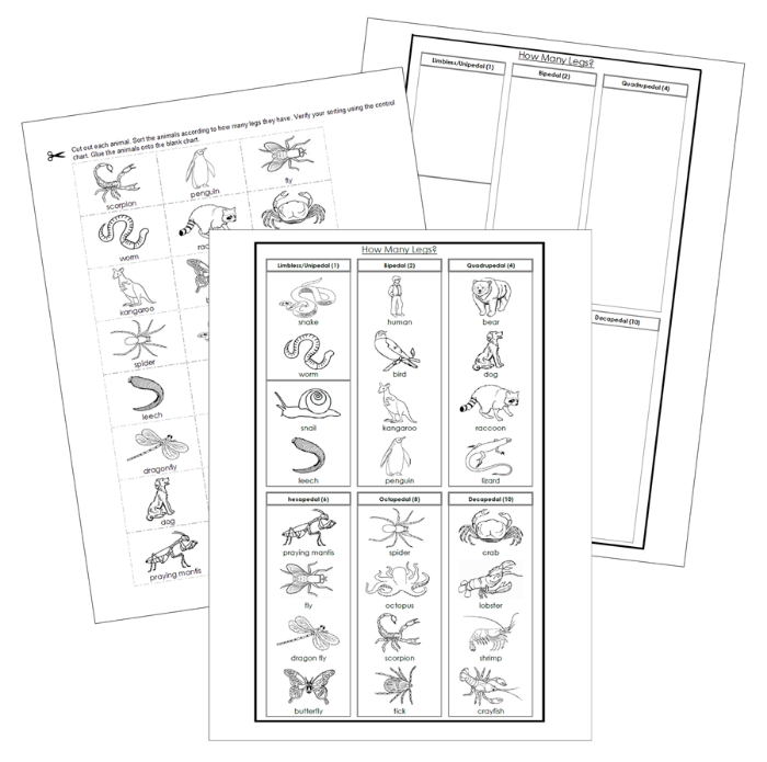 How Many Animal Legs Sorting Cut & Paste (Blackline Masters) - Montessori Print Shop Digital Download