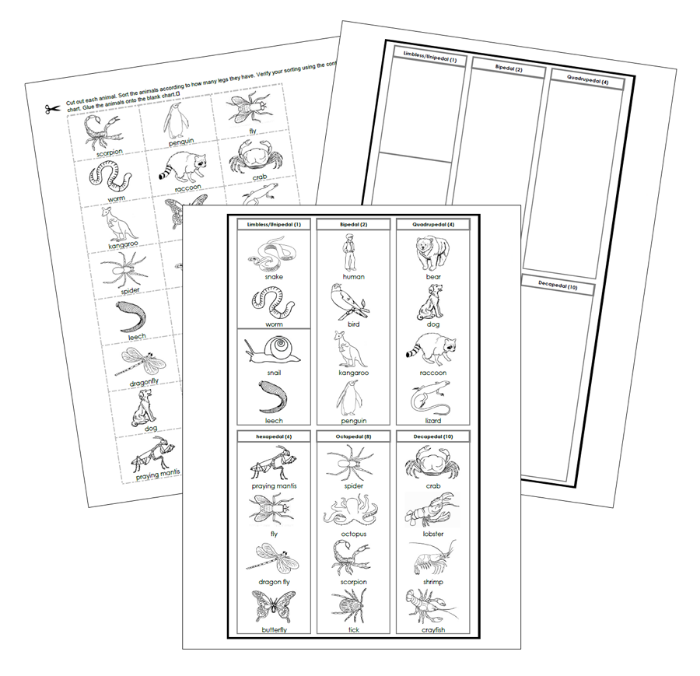 How Many Animal Legs Sorting Cut & Paste (Blackline Masters) - Montessori Print Shop Digital Download