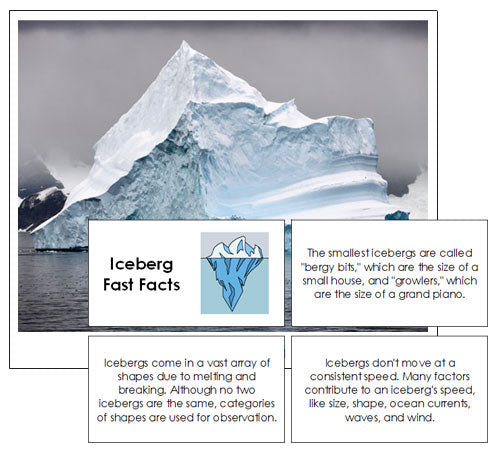 Iceberg Fast Facts & Pictures - Montessori Print Shop