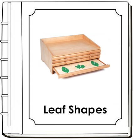 Botany Cabinet Leaf Shapes Book - Montessori Print Shop Digital Dow