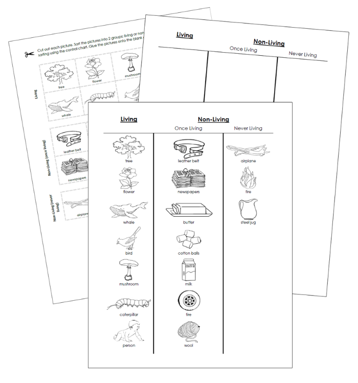 Living & Non-Living Sorting Cut & Paste (Blackline Masters) - Montessori Print Shop Digital Download