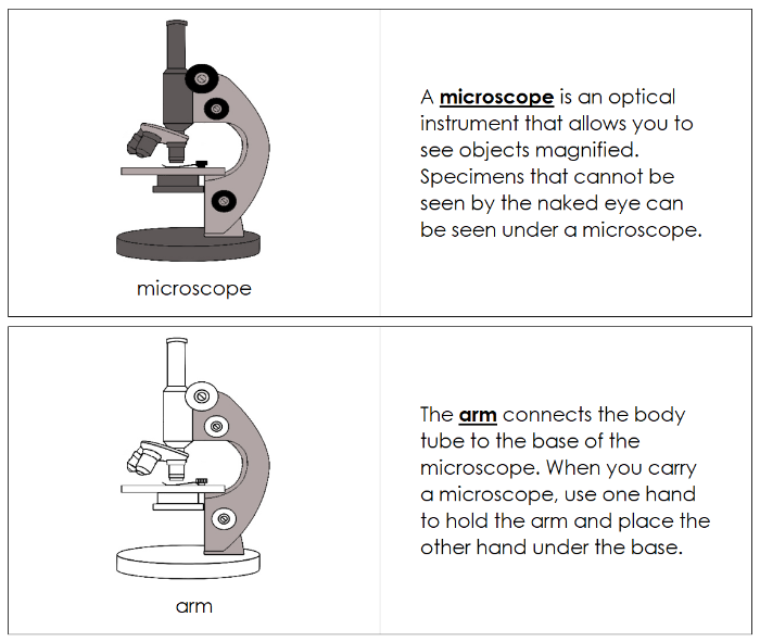 Parts of a Microscope Nomenclature Book - Montessori Print Shop Digital Download