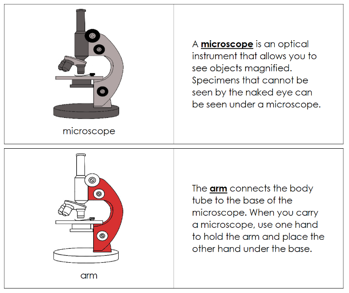 Microscope Nomenclature Book (red) - Montessori Print Shop Digital Download