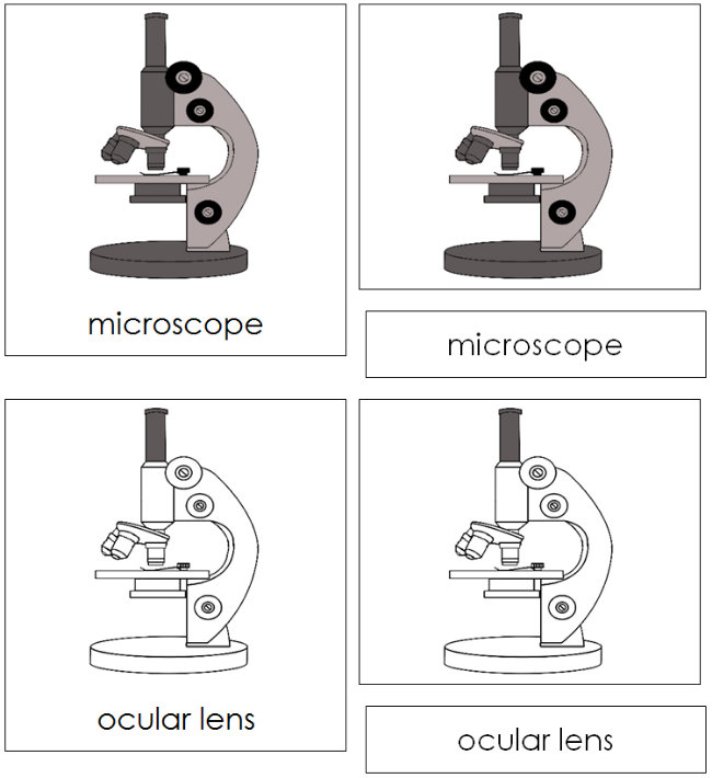 Parts of a Microscope Nomenclature Cards - Montessori Print Shop Digital Download