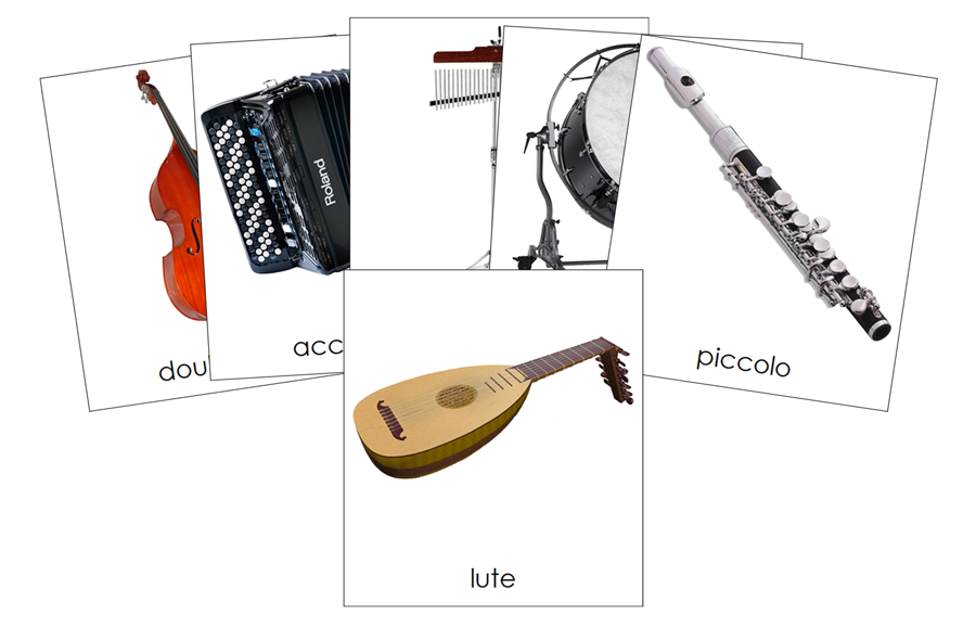 Types of Musical Instruments 3-Part Cards (Set 2) by Montessori Print Shop