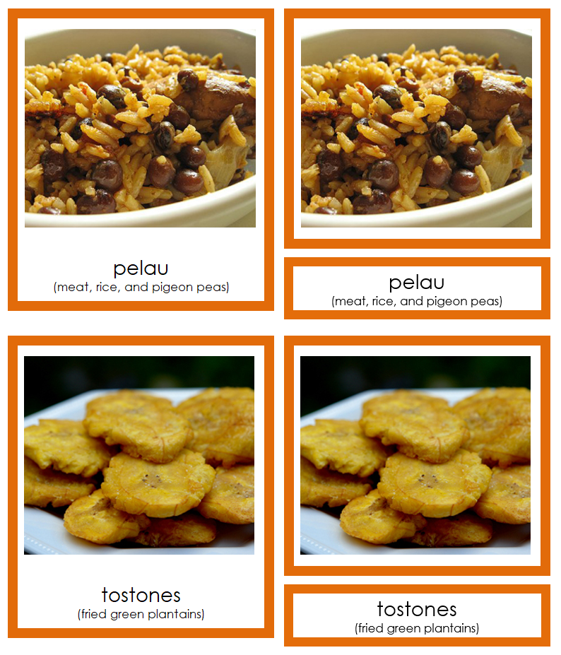 Foods of North America 3-Part Cards (color-coded) by Montessori Print Shop