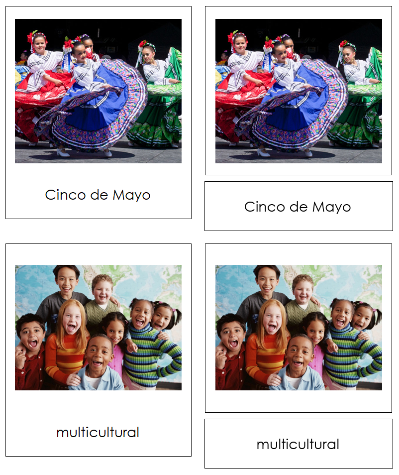 Culture of North America 3-Part Cards by Montessori Print Shop