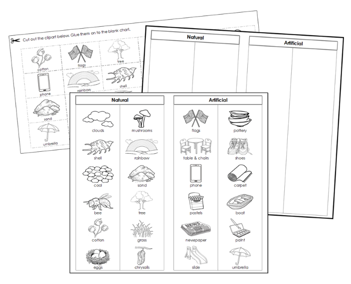 atural and Artificial Sorting Cut & Paste  Blackline Masters - Montessori Print Shop Digital Download