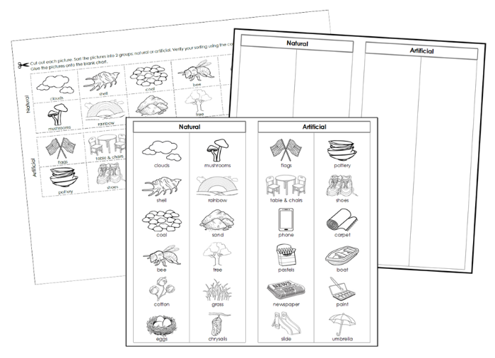 atural and Artificial Sorting Cut & Paste  Blackline Masters - Montessori Print Shop Digital Download