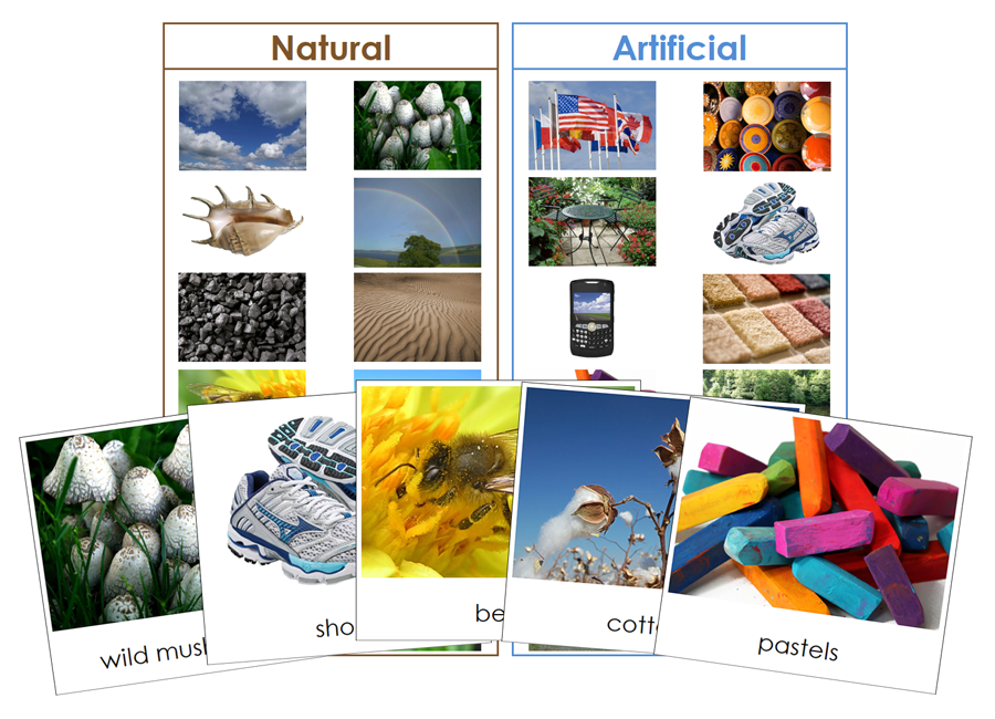 Natural and Artificial Objects Sorting Lesson - Montessori Print Shop Digital Download 