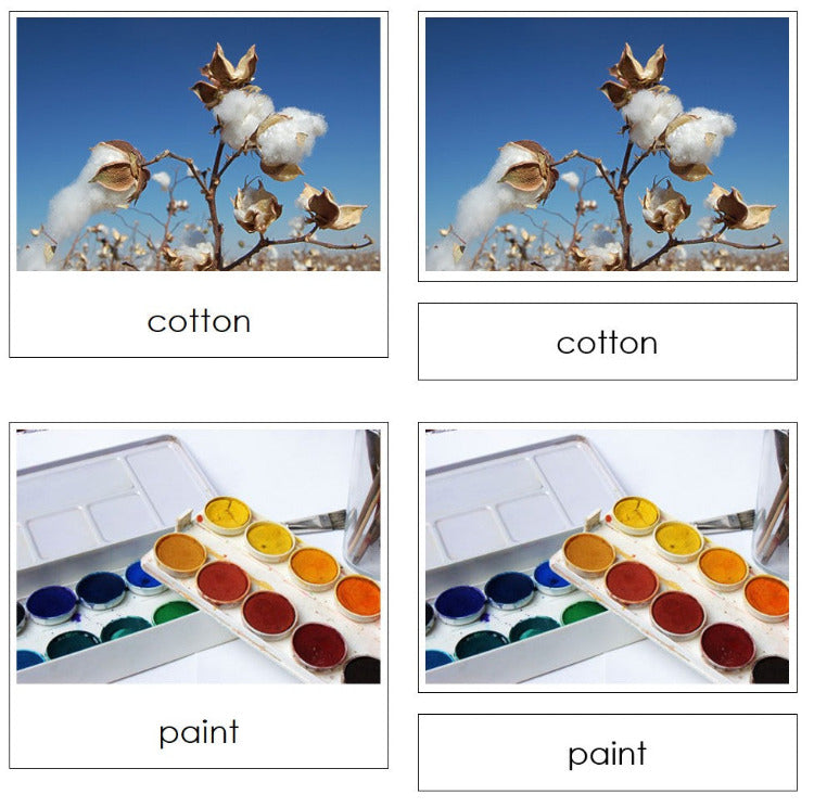 Natural and Artificial Objects Sorting Lesson - Montessori Print Shop Digital Download 
