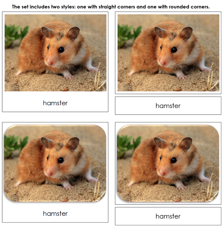 Pets Safari Toob Cards - Montessori Print Shop