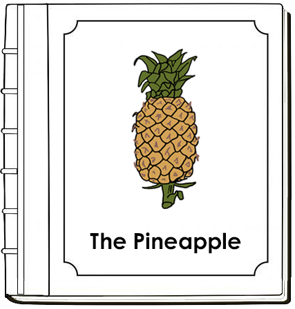 Parts of a Pineapple Nomenclature Book - Montessori Print Shop Digital Download