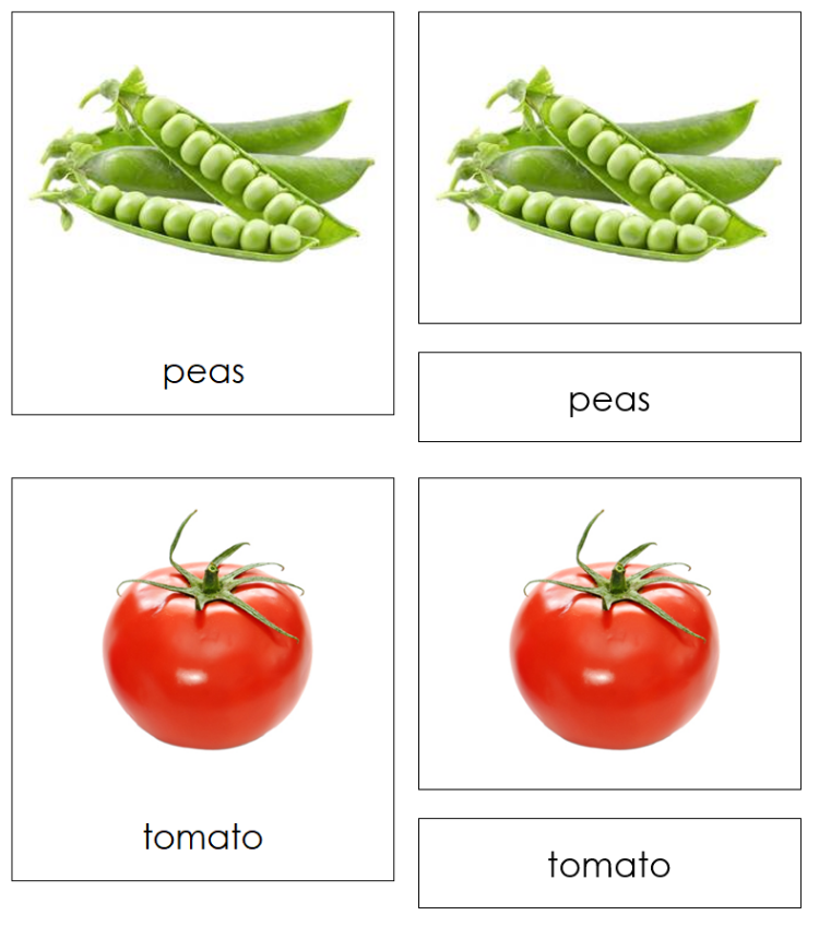 Plants We Eat Sorting Cards & Chart - Montessori Print Shop Digital Download science