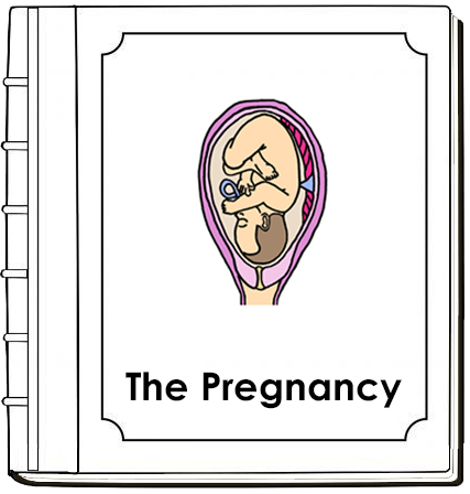 Pregnancy Nomenclature Book - Montessori Print Shop Digital Download
