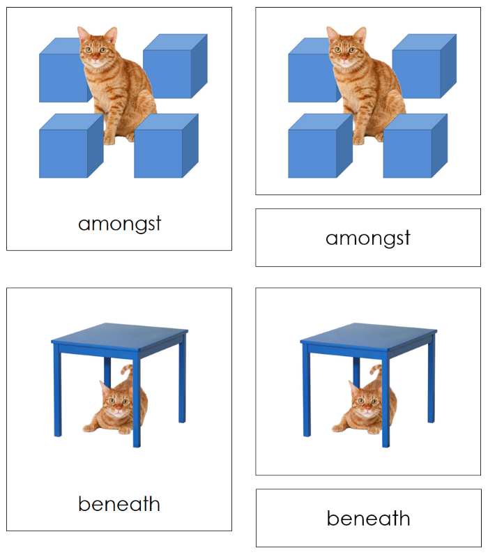 Preposition Picture Cards (cat) - Montessori Print Shop Digital Download grammar lesson