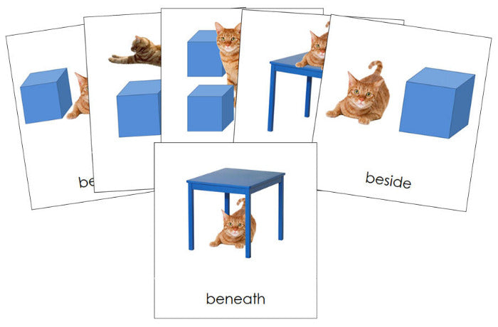 Preposition Picture Cards (cat) - Montessori Print Shop Digital Download grammar lesson
