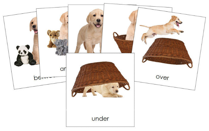 Preposition Picture Cards (puppy) - Montessori Print Shop Digital Download grammar lesson