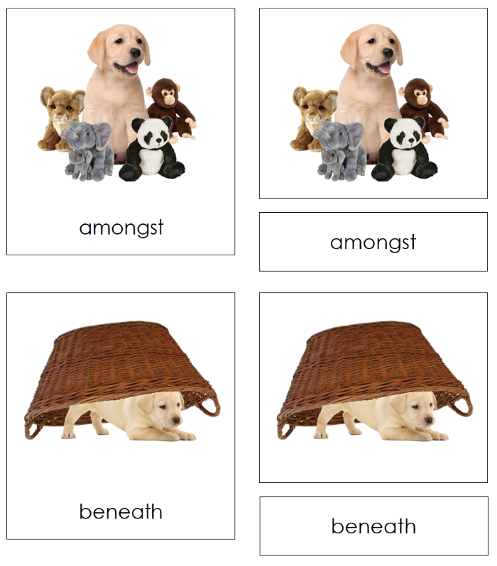 Preposition Picture Cards (puppy) - Montessori Print Shop Digital Download grammar lesson