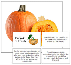 Pumpkin Fast Facts & Pictures - Montessori Print Shop