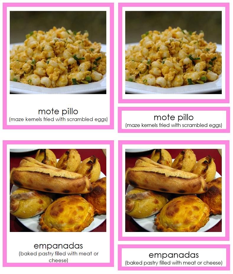 Foods of South America 3-Part Cards (color-coded) by Montessori Print Shop