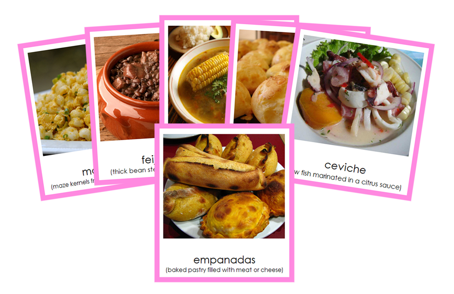 Foods of South America 3-Part Cards (color-coded) by Montessori Print Shop