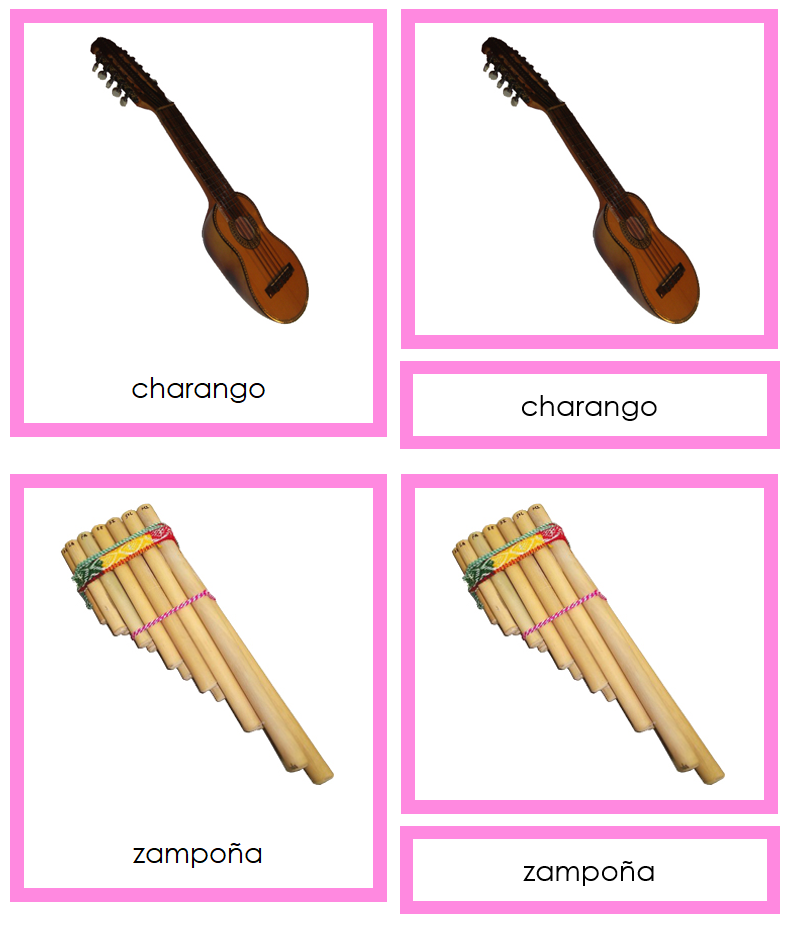 Musical Instruments of South America 3-Part Cards (color-coded) by Montessori Print Shop
