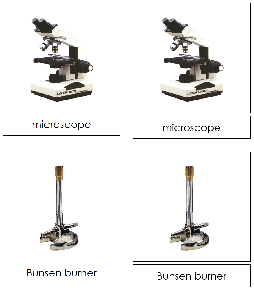 Types of Science Equipment 3-Part Cards by Montessori Print Shop