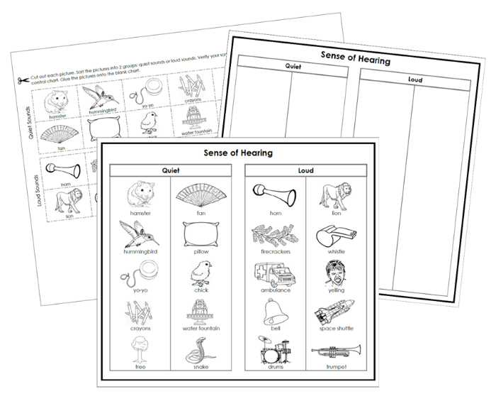 Sense of Hearing Sorting Cut & Paste - Montessori Print Shop Digital Download