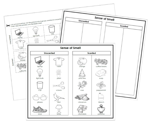 Sense of Smell Sorting Blackline Masters - Montessori Print Shop ...