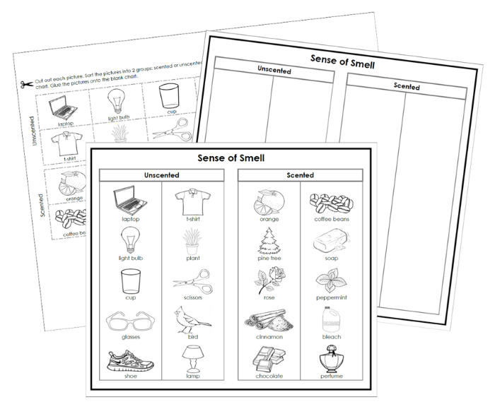 Sense of Smell Sorting Cut & Paste (Blackline Masters) - Montessori Print Shop Digital Download