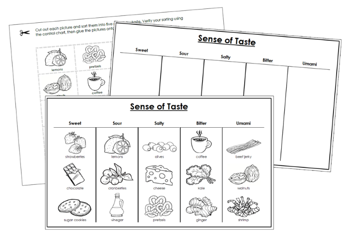 Sense of Taste Sorting Cut & Paste (Blackline Masters) - Montessori Print Shop Digital Download