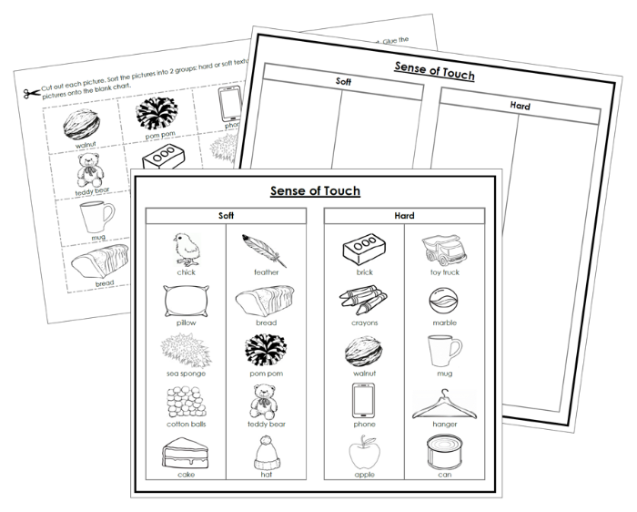 Sense of Touch Sorting Cut & Paste (Set 1) Blackline Masters - Montessori Print Shop Digital Download