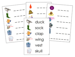 Montessori Step 2: Phonetic Spelling Cards - Montessori phonetic  language cards - Montessori Print Shop