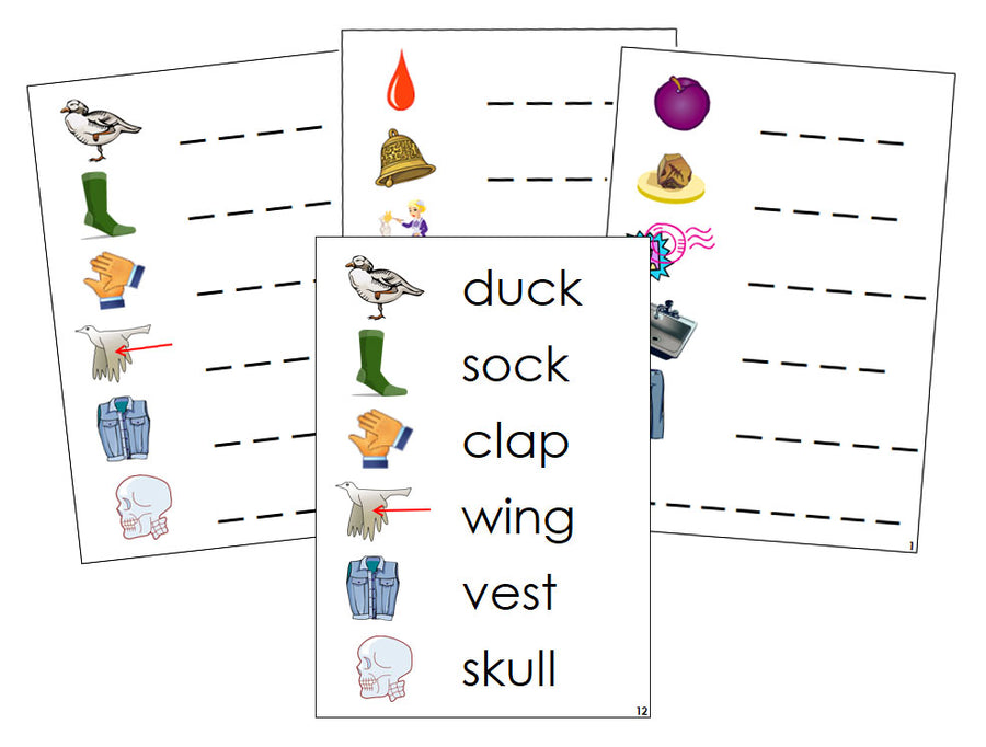 Montessori Step 2: Phonetic Spelling Cards - Montessori phonetic  language cards - Montessori Print Shop