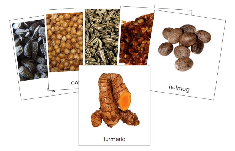 Types of Spices 3-Part Classified Cards - Montessori Print Shop Digital Download