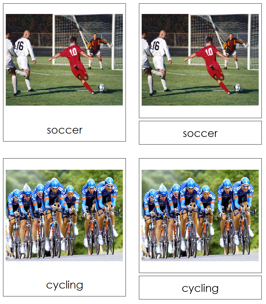 Types of Sports 3-Part Cards by Montessori Print Shop
