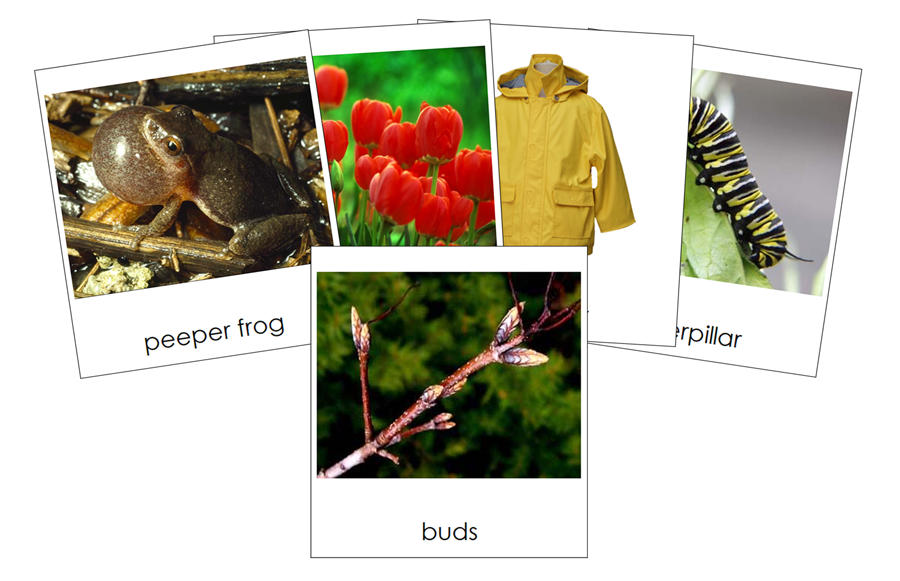 Types of Spring Season Images 3-Part Cards by Montessori Print Shop