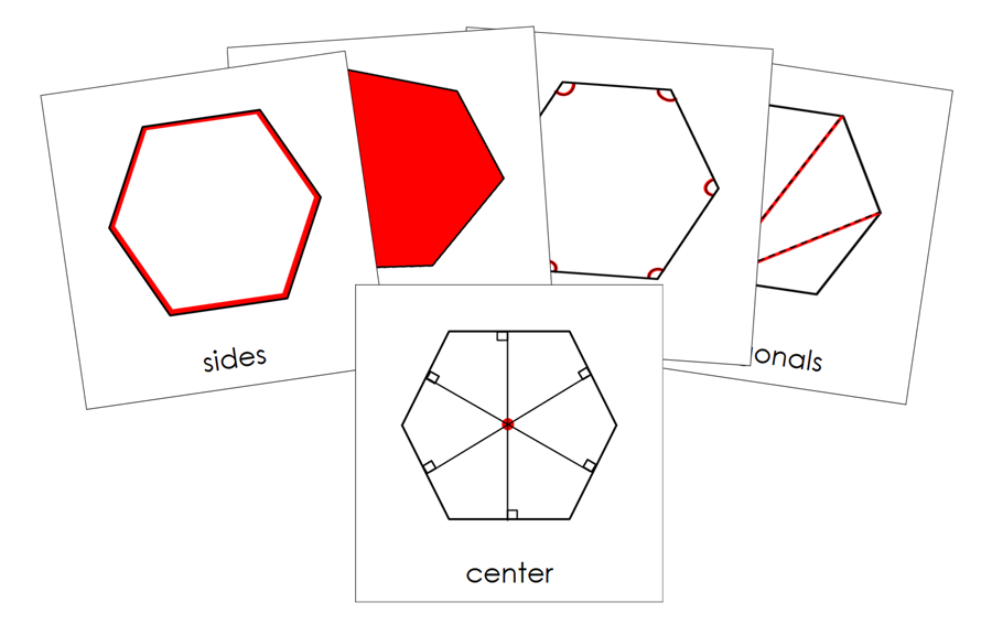 Study of a Polygon 3-Part Cards by Montessori Print Shop