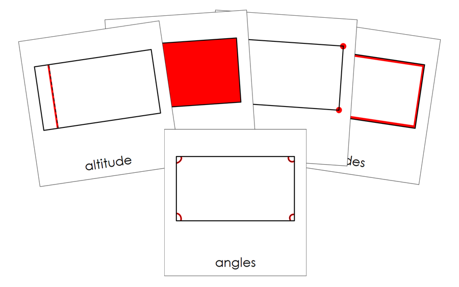 Study of a Rectangle 3-Part Cards by Montessori Print Shop 