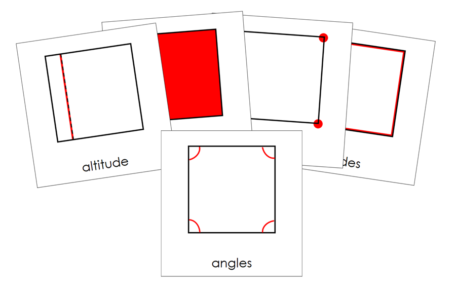 Study of a Square 3-Part Cards by Montessori Print Shop