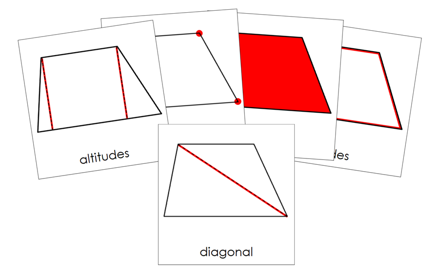 Study of a Trapezoid 3-Part Cards by Montessori Print Shop