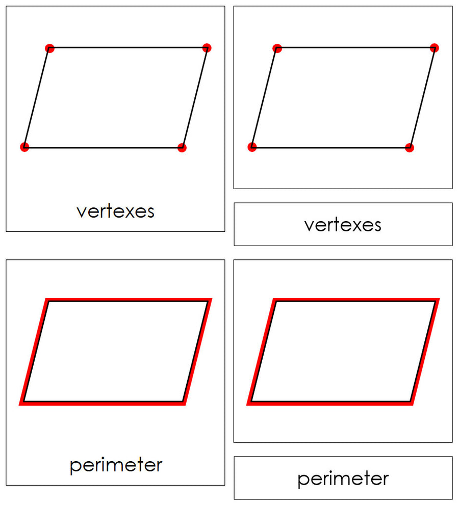 The Study of a Parallelogram 3-Part Cards by Montessori Print Shop