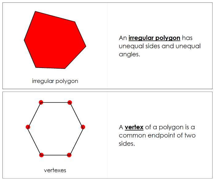 Study of a Polygon Book - Montessori Print Shop Digital Download