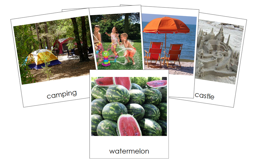 Types of Summer Season Images 3-Part Cards by Montessori Print Shop