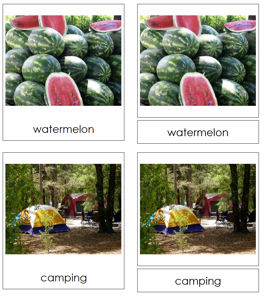 Types of Summer Season Images 3-Part Cards by Montessori Print Shop